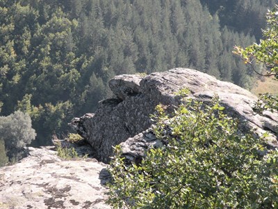 Gradishte 7