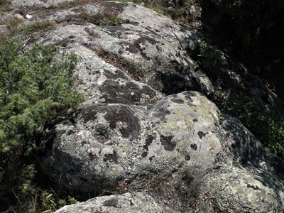Gradishte 8